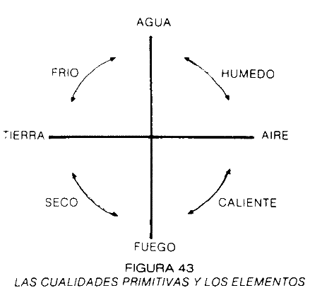 LAS CUALIDADES PRIMITIVAS Y LOS ELEMENTOS